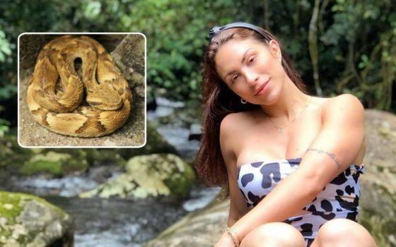 MÃ©dica que foi picada por cobra em MT deixa UTI, diz irmÃ£