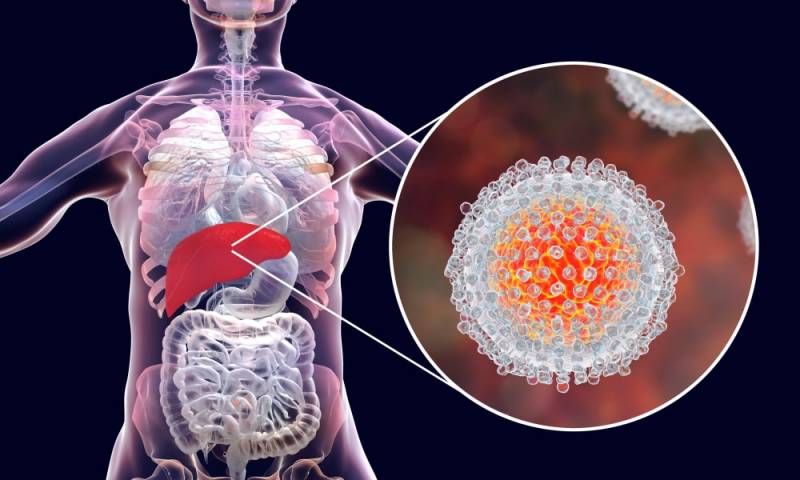 SUS: mais de 130 mil pessoas recuperaram-se da hepatite C desde 2019