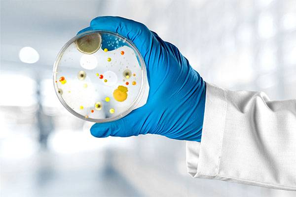 ARTIGO: Covid-19 e infecÃ§Ãµes fÃºngicas