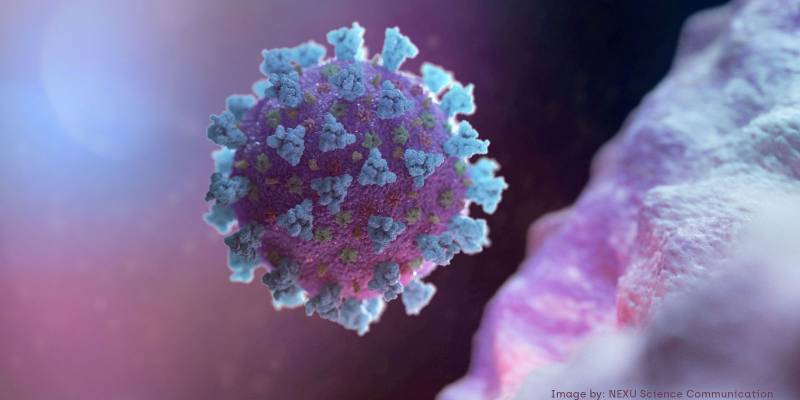 ARTIGO: Anvisa aprova uso de anticorpos monoclonais para o tratamento de Covid-19