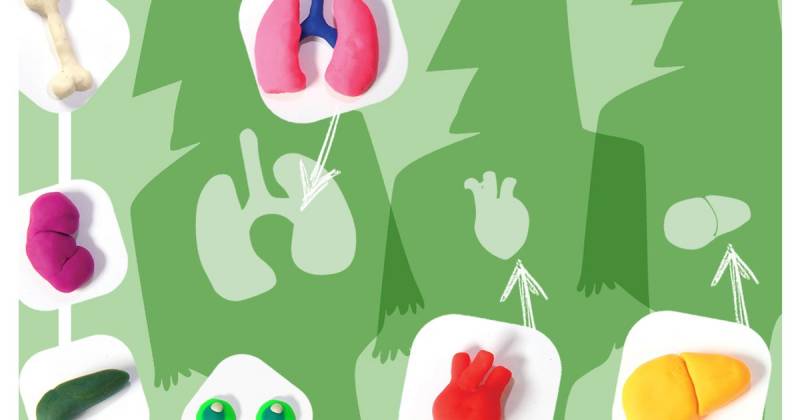 AssociaÃ§Ã£o Brasileira de Transplantes terÃ¡ campanha para conscientizaÃ§Ã£o sobre a importÃ¢ncia de doar