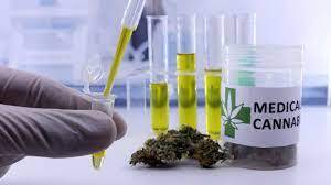 Anvisa libera dois produtos Ã  base de cannabis para venda