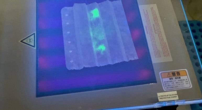 MÃ¡scara que brilha se usuÃ¡rio estiver com Covid-19 Ã© criada no JapÃ£o