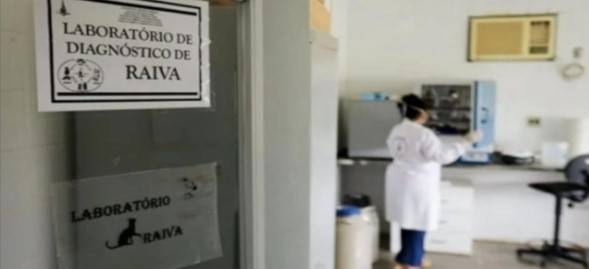 Adolescente que contraiu raiva morre no Distrito Federal