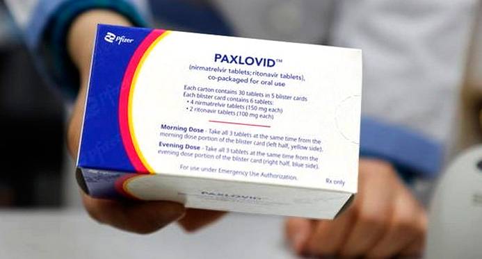 Anvisa aprova venda de Paxlovid para tratar covid-19