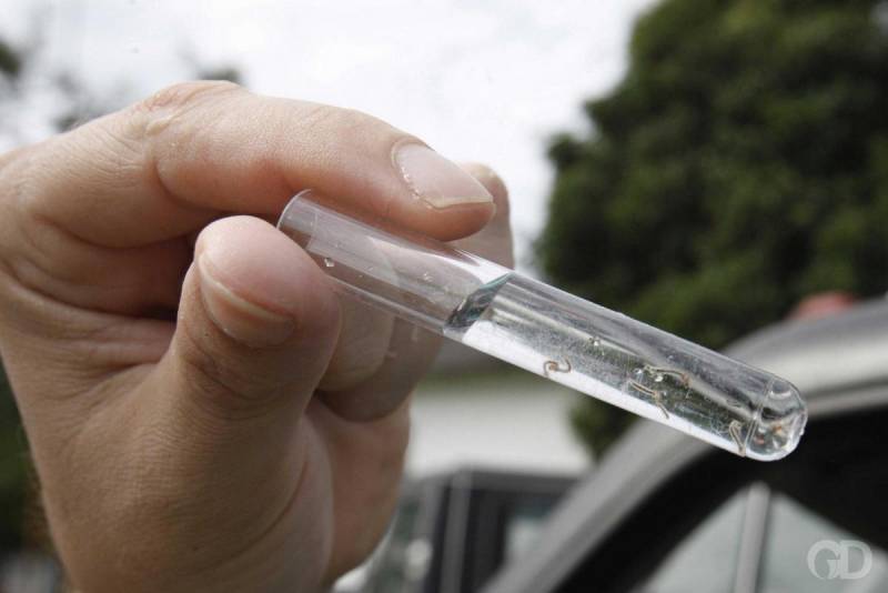 SaÃºde de VÃ¡rzea Grande alerta para riscos de dengue no perÃ­odo chuvoso