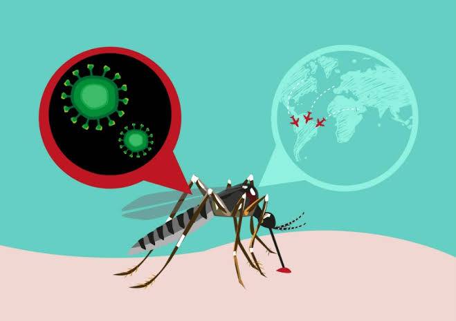 Exame para identificar vÃ­rus Zika Ã© comercializado no paÃ­s