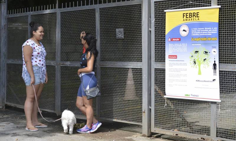 SP volta a registrar mortes por febre amarela apÃ³s dois anos sem casos