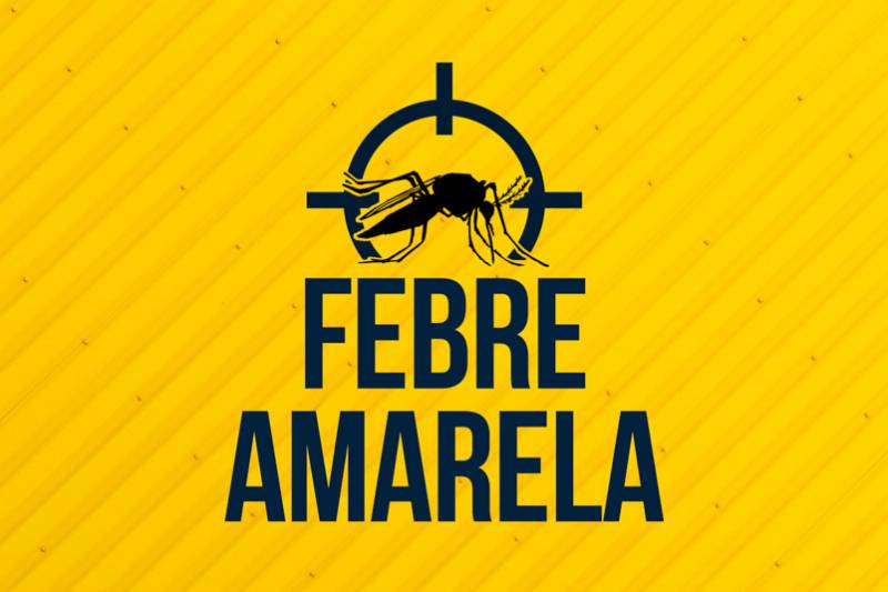  Brasil retoma exportaÃ§Ã£o de vacina contra febre amarela