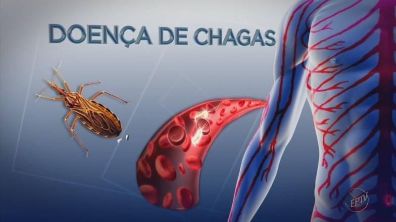 3 municÃ­pios de MT tÃªm alerta para malÃ¡ria, leishmaniose e doenÃ§a de Chagas