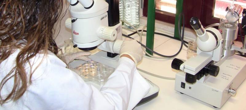  Doutorado em BioÃ©tica abre inscriÃ§Ãµes para mÃ©dicos