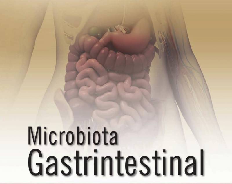  Pesquisadores criam o 1Âº atlas detalhado do microbioma intestinal!