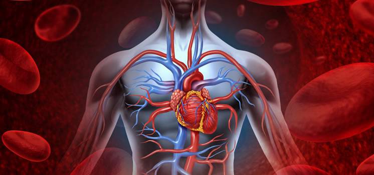 ARTIGO COVID-19 E A ESPECIALIDADE VASCULAR