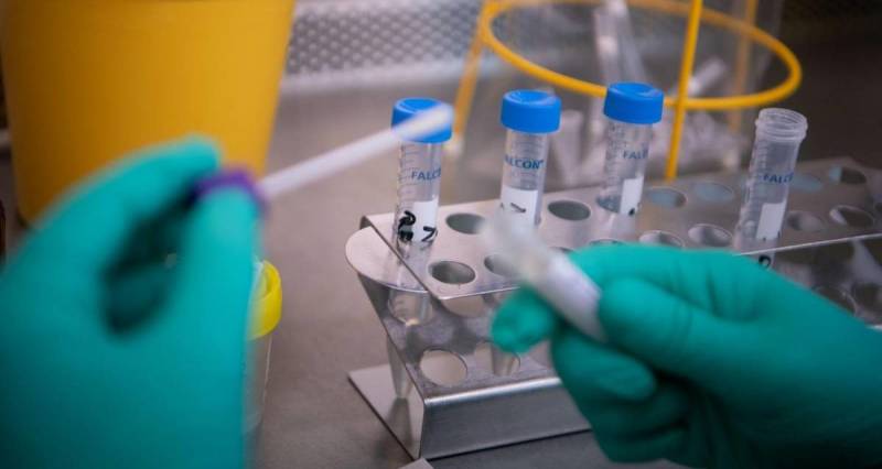 Covid-19: combinaÃ§Ã£o de antivirais pode ajudar recuperaÃ§Ã£o